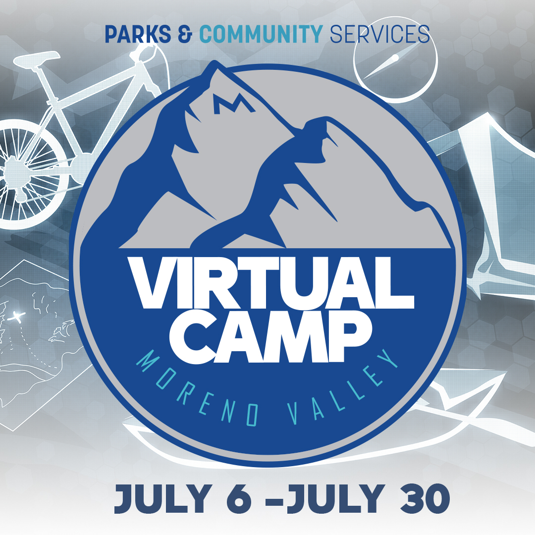 Virtual Camp.