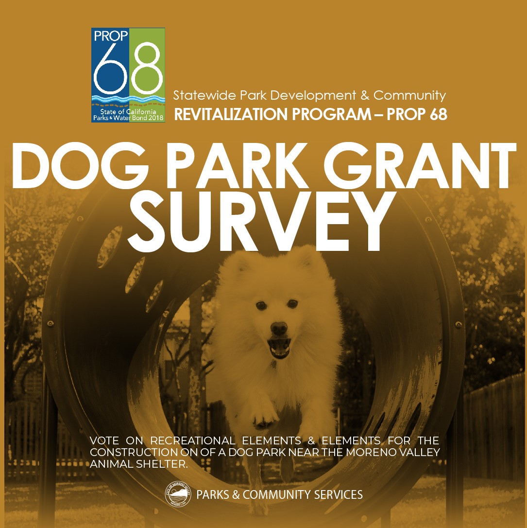Dogg Park Survey