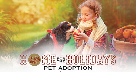 Home for the Holidays