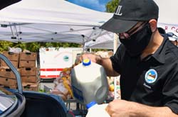 Mayor Gutierrez putting food in a car at a volunteer food giveaway.