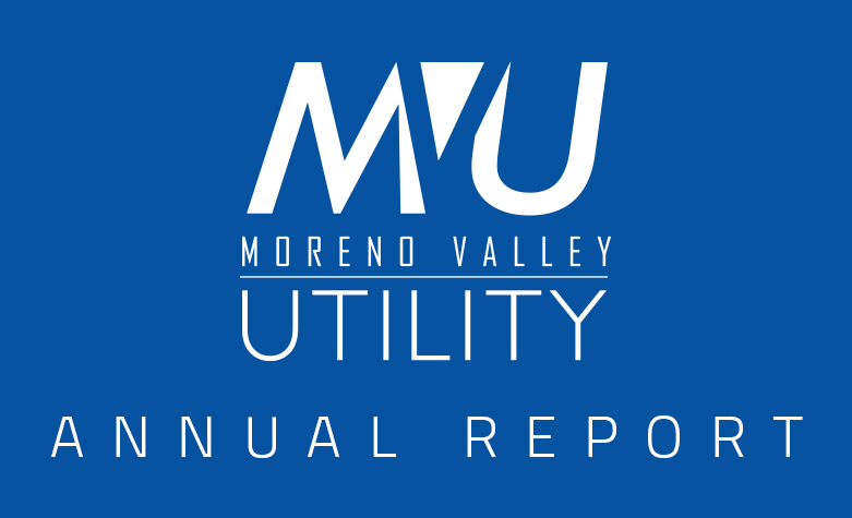 MVU Annual Report