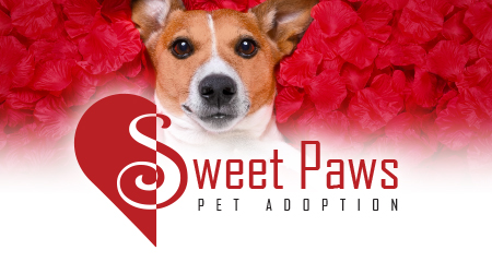 Sweet Paws Pet Adoption Flyer Photo of pup lying on a bed of red flower petals