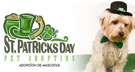 St. Patrick's Day Adoption Event